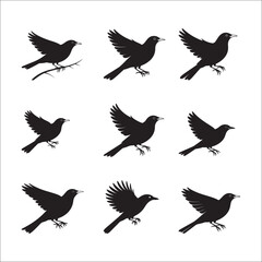 Fototapeta premium A set of flying bird silhouettes, including eagles, doves, and hawks, is a beautiful vector illustration of nature's freedom and wildlife
