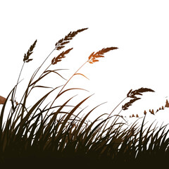 Pixel Art Illustration of Brown Grasses in a Field Landscape with Warm Sunset Lighting and Detailed Rural Countryside Setting
