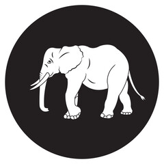  elephant icon design