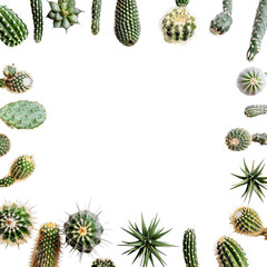 Cactus border frame on black background