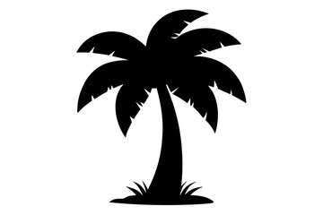 Fototapeta premium palm tree silhouette