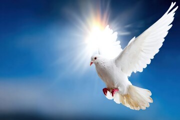 Obraz premium White dove soaring in the blue sky with bright sun rays, representing peace, hope, and spirituality