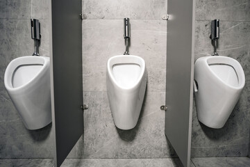 Discovering the Latest Emerging Trends in Contemporary Male Urinal Designs in Public Restrooms