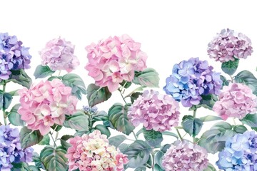 Fototapeta premium Geranium outdoors blossom flower.