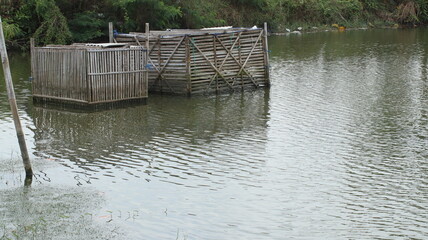 Milkfish farming ponds using bamboo cages in rural areas