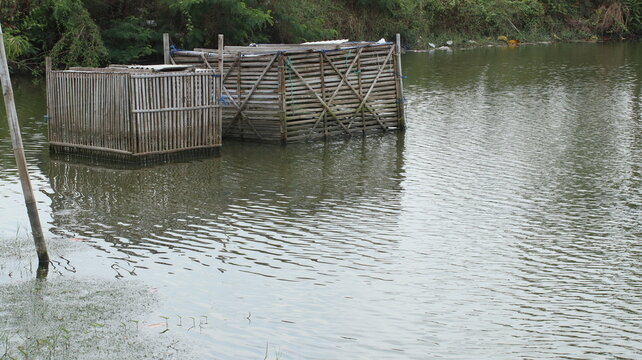 Milkfish farming ponds using bamboo cages in rural areas