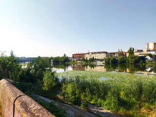 Fototapeta premium Beautiful riverside view with lush greenery and cityscape
