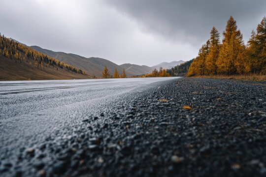 Scenic view showcasing Chuysky Trakt winding through the Altai Republic of Russia on a rainy autumn day, highlighting vibrant golden foliage