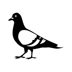 vector collection of bird silhouettes in various styles and types