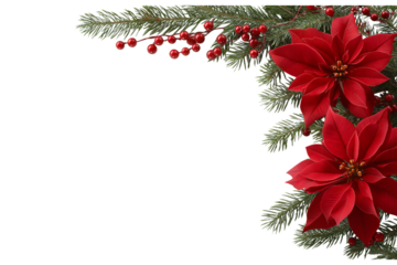 Red Poinsettia and Pine Corner Decoration Christmas isolated on a transparent background