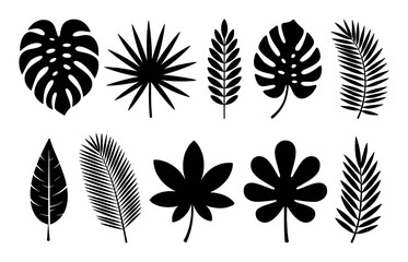 Collection of Black Silhouette Tropical Leaves on White Background