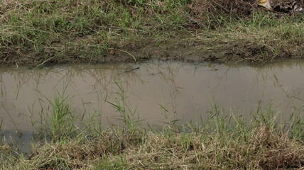 Rivers in Asia are polluted by plastic waste, a social problem that must be addressed so that they are not polluted.