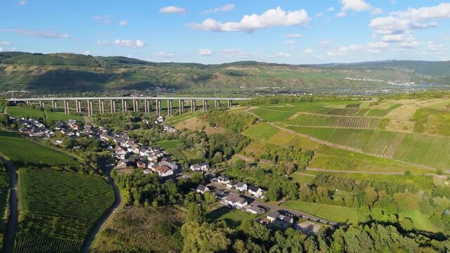 Moselle Viaduct Longuich, vineyard in Mosel valley,  bridge of highway crossing river near Trier, german autobahn, aerial view