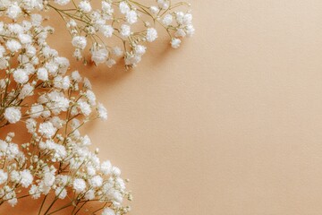 White flowers arranged on a beige background
