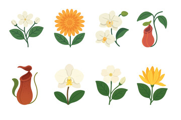 Tropical Exotic Flowers Edition #7—Jasmine, White Orchid, Yellow Champak, and Pitcher Plant. Vector Illustration. Design Element. Clip art. Suitable for artwork design. Editable for any design.