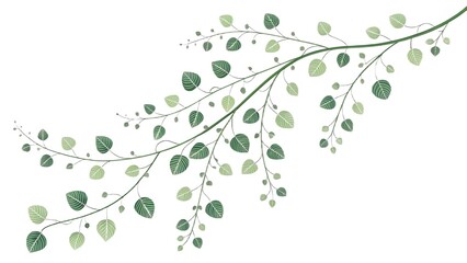 , hinting at the fruit-bearing nature of the plant. The artwork has a natural, organic feel with a clean, light background, emphasizing the intricate details of the plant's structure.