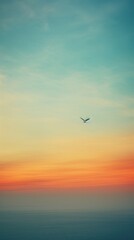 Fototapeta premium Photography of a bird landscape outdoors horizon.