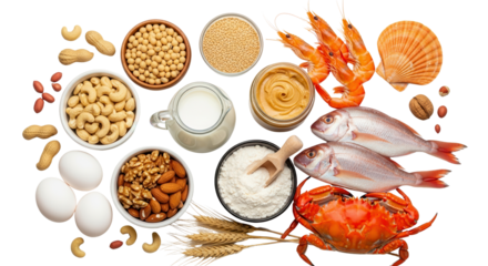 Allergenic food ingredients that cause food allergy isolated PNG with Transparent Background