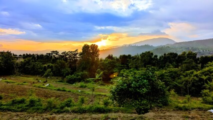 Beautiful Sunset over Green Forest and Mountains