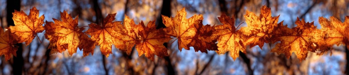Fototapeta premium Autumn leaves in a row, blurred background