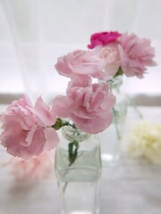 pink roses in vase