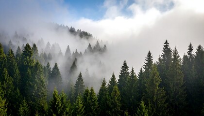 Misty mountain forest landscape (1)