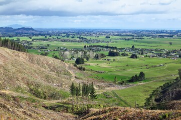 New Zealand Forestry Trig Hill Levin Logging And Farmland