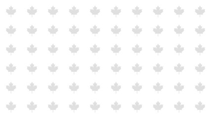 Grey icons of maple appear with a bouncing animation. Symbolizing Canada and Canadian identity. 4K pictogram motion graphic. - Powered by Adobe