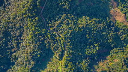 Scenic Road Through Tropical Mountain Landscape. aerial view of a winding road weaving through lush, tropical green hills under a clear blue sky. The road cuts gracefully across valleys and slopes
