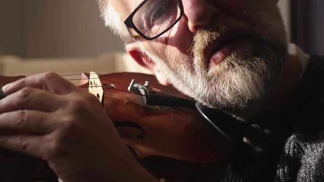 Bearded musician plucks violin strings and ear tunes aged instrument