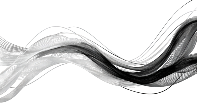 Abstract monochrome flowing lines