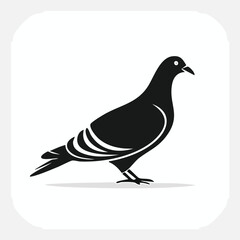 Obraz premium Pigeon vector icon graphic in a flat, monochrome, and versatile style.