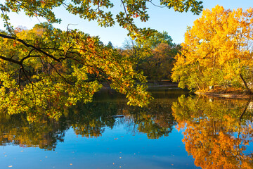 Autumn foliage mirrors on a tranquil lake surface. Picturesque autumn scene with trees displaying vibrant yellow and green leaves over the pond