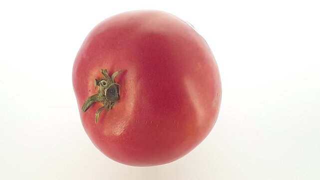 A ripe tomato affected by late blight rotates smoothly on a white background.