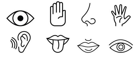 Five human senses outline icons set. Human senses 5 five types. Vision through eye, Smell with nose, hearing ear, touch hand,  taste mouth with tongue. Vector illustration.