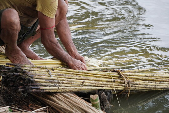 Manual Jute Retting Process in River