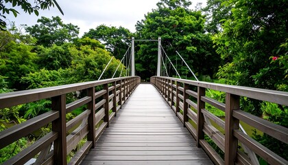 Walking path across a wooden suspension bridge into a lush green forest.