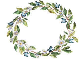 Fototapeta premium Circle frame of dandelions and lush green leaves. Watercolor illustration of blowballs and many white flowers. For flower shop, printing on postcards, greeting cards, business cards, etc. High quality