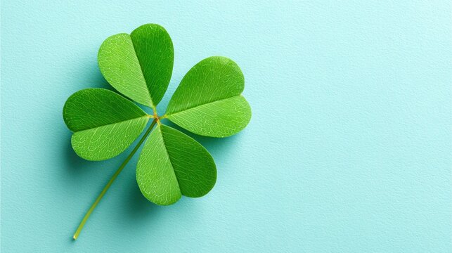 Four leaf clover on light green background symbolizing good luck and prosperity