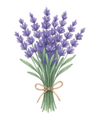 Obraz premium Adobe Illustrator Artwork