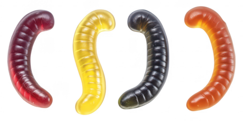 Four gummy worms candy sweets on transparent png background