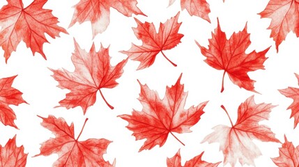 Fototapeta premium Falling maple leaves on white background in studio setting