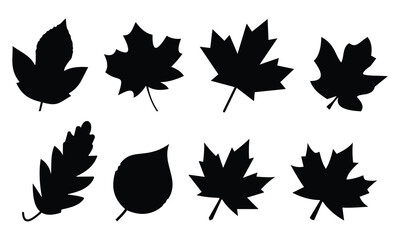 Autumn maple Leaves Set. Maple leaves isolated on a white background. Set of Maple, Oak and Linden Leaves icon vector illustration. 
