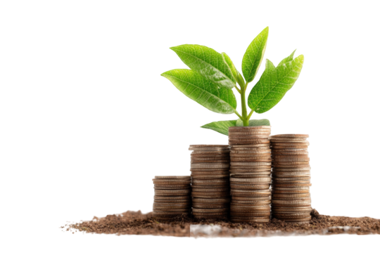 Coins growing a plant