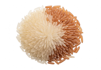 Diverse rice grains arranged in a circular pattern forming a colorful culinary palette