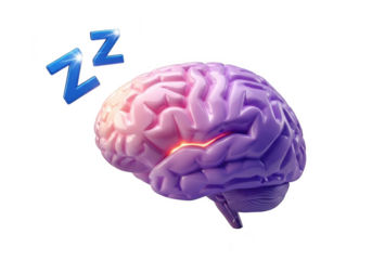 Sleeping brain with zzz symbols representing rest and relaxation for mental health