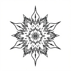 Minimilist detailed black and white floral mandala with pointed petals and intricate center design elements art vector