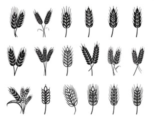 Wheat Ears Collection