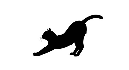 Silhouette of a black cat stretching its body with its back arched and tail raised