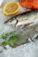 Whitefish and salmon fillets on ice with dill and lemon, elegant seafood composition under studio light, ideal for premium food market.